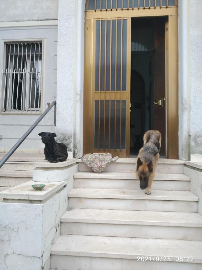 مبيت وإفطار فيرونا Chez Martha المظهر الخارجي الصورة
